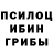 Псилоцибиновые грибы Magic Shrooms Ellissia Clarke
