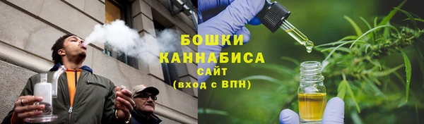 ГАЛЛЮЦИНОГЕННЫЕ ГРИБЫ Алзамай