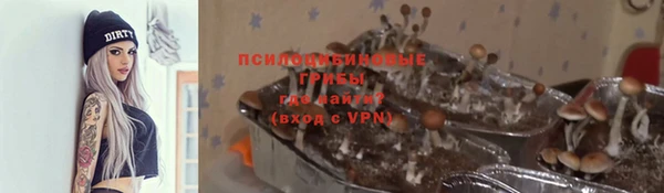 ГАЛЛЮЦИНОГЕННЫЕ ГРИБЫ Алзамай