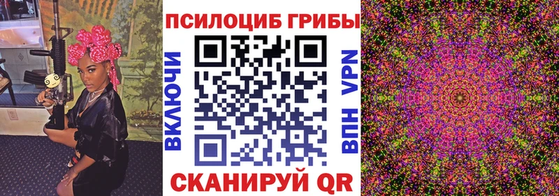 Псилоцибиновые грибы Psilocybe Усолье